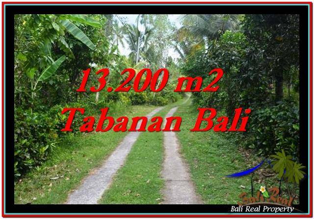 FOR SALE Magnificent PROPERTY 13,200 m2 LAND IN TABANAN BALI TJTB255
