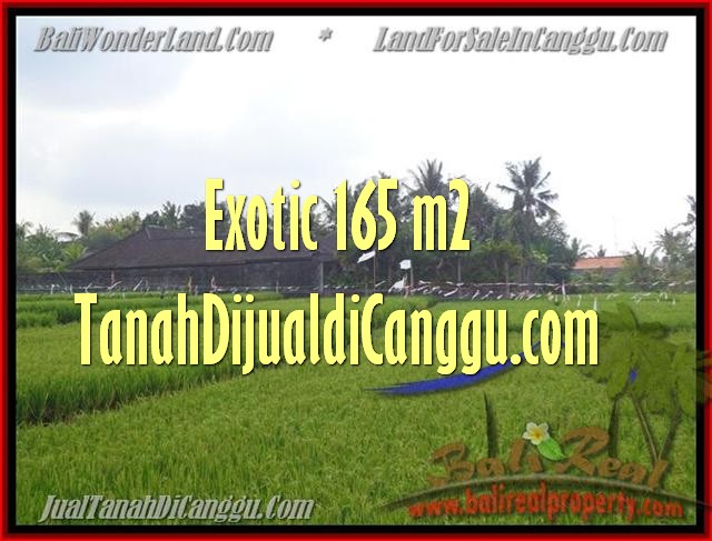 Exotic PROPERTY LAND SALE IN Canggu Cemagi BALI TJCG158