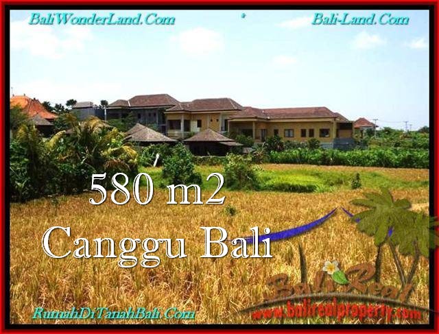 Magnificent LAND IN Canggu Pererenan BALI FOR SALE TJCG197