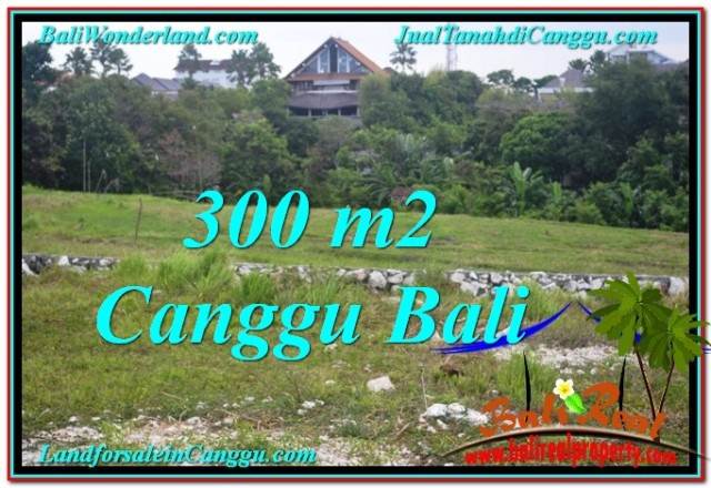 Exotic 300 m2 LAND SALE IN CANGGU TJCG205