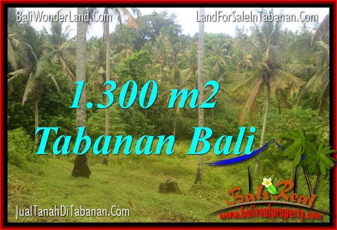 Exotic LAND SALE IN Tabanan Selemadeg TJTB314