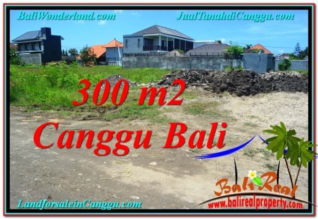 Magnificent Canggu Brawa BALI LAND FOR SALE TJCG203