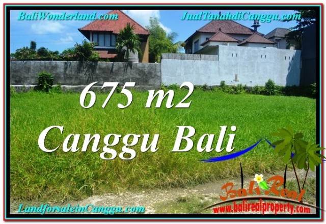 FOR SALE Affordable 675 m2 LAND IN CANGGU TJCG200