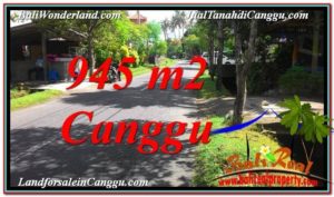 Affordable PROPERTY Canggu Pererenan BALI LAND FOR SALE TJCG210
