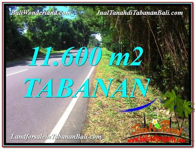 Beautiful PROPERTY TABANAN 11,600 m2 LAND FOR SALE TJTB327
