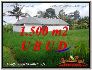Affordable PROPERTY 1,500 m2 LAND SALE IN UBUD BALI TJUB600