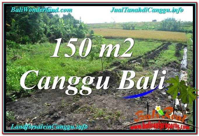 FOR SALE Magnificent LAND IN Canggu Pererenan TJCG213