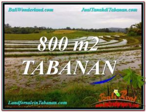 Magnificent TABANAN 800 m2 LAND FOR SALE TJTB324