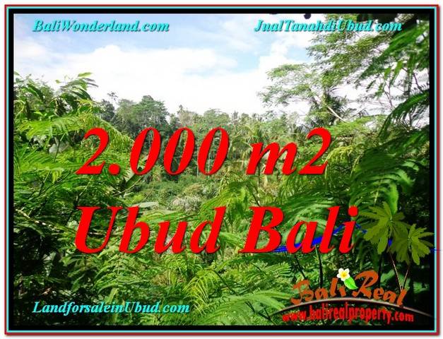 Ubud Tegalalang BALI LAND FOR SALE TJUB611
