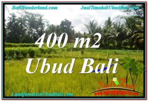 400 m2 LAND FOR SALE IN UBUD BALI TJUB627