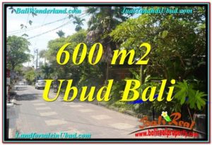 Beautiful PROPERTY 600 m2 LAND FOR SALE IN Sentral / Ubud Center TJUB644