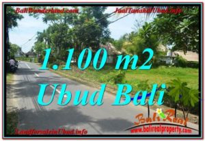 FOR SALE Affordable LAND IN Sentral / Ubud Center BALI TJUB645