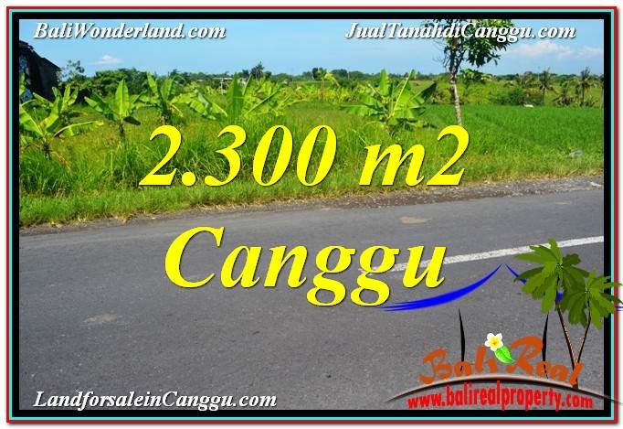 Magnificent 2,300 m2 LAND IN CANGGU BALI FOR SALE TJCG209