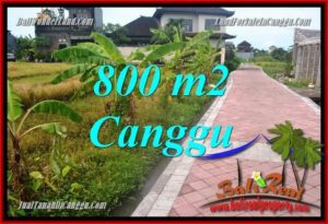 Affordable LAND IN Canggu Brawa FOR SALE TJCG221