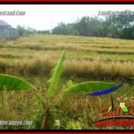 Exotic 800 m2 LAND IN CANGGU FOR SALE TJCG221