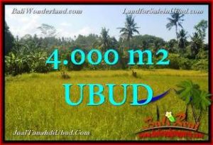 Beautiful PROPERTY LAND SALE IN UBUD TJUB661