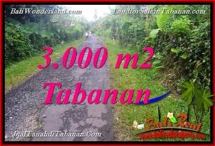 Magnificent PROPERTY Tabanan Selemadeg BALI 3,000 m2 LAND FOR SALE TJTB366