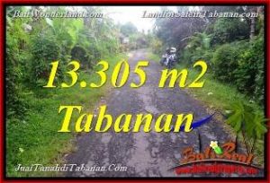 FOR SALE Affordable 13,305 m2 LAND IN Tabanan Selemadeg BALI TJTB367