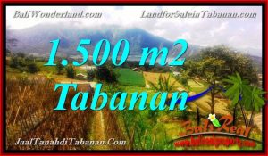 Magnificent PROPERTY LAND FOR SALE IN TABANAN BALI TJTB373