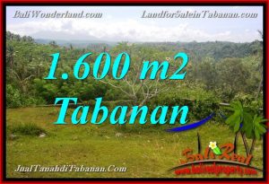 Beautiful PROPERTY LAND IN TABANAN BALI FOR SALE TJTB378