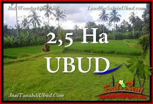 Ubud Payangan BALI LAND FOR SALE TJUB655