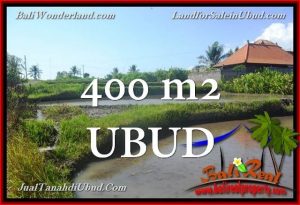 FOR SALE Exotic LAND IN Ubud Gianyar BALI TJUB659