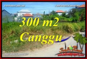 Exotic PROPERTY LAND IN CANGGU FOR SALE TJCG225