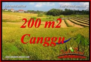 Exotic LAND FOR SALE IN CANGGU BRAWA BALI TJCG228