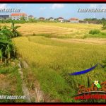 FOR SALE Magnificent PROPERTY 200 m2 LAND IN CANGGU BALI TJCG228