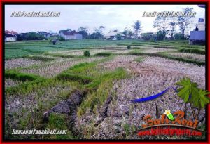 FOR SALE Magnificent LAND IN CANGGU PERERENAN BALI TJCG230