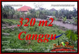 Beautiful PROPERTY 320 m2 LAND IN CANGGU PERERENAN BALI FOR SALE TJCG231