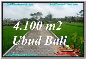 Beautiful PROPERTY 4,100 m2 LAND SALE IN SENTRAL UBUD BALI TJUB676