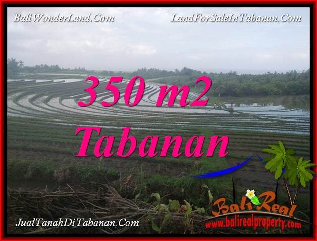 Exotic LAND IN TABANAN BALI FOR SALE TJTB386