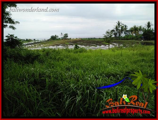 Beautiful Property 4,500 m2 Land for sale in Tabanan Selemadeg Bali TJTB395