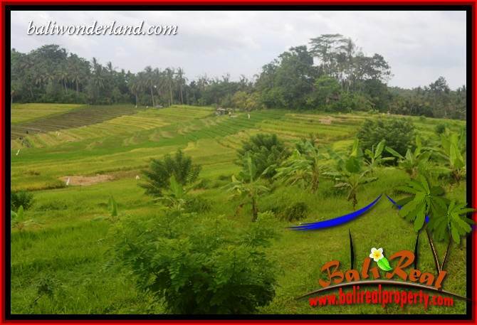 Magnificent Tabanan Land for sale TJTB397