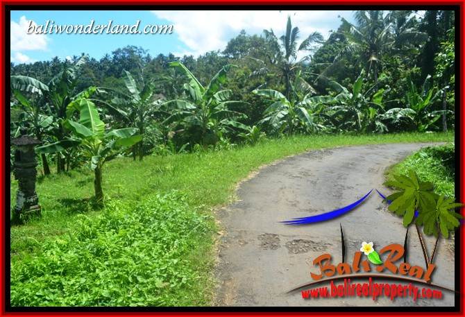Affordable Land sale in Tabanan Selemadeg Bali TJTB405