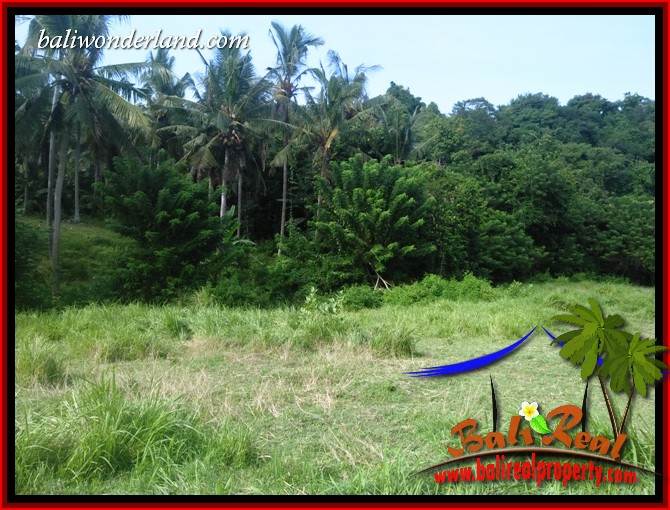 Beautiful Property Land for sale in Tabanan Bali TJTB413