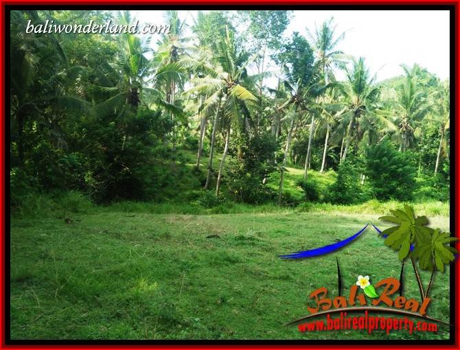 Beautiful Property Land for sale in Tabanan Bali TJTB413