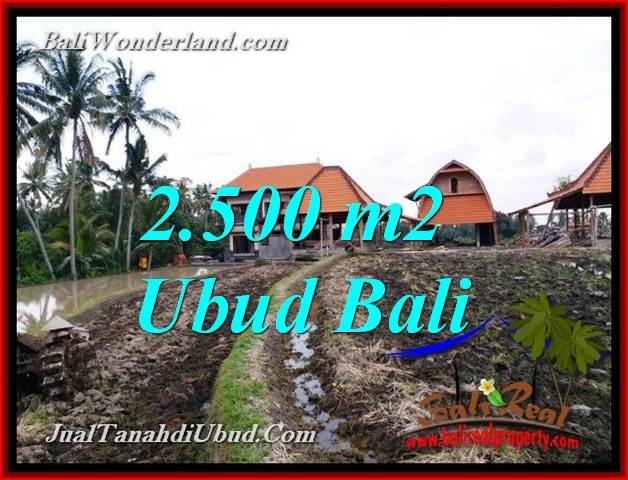 Affordable LAND FOR SALE IN UBUD TJUB772