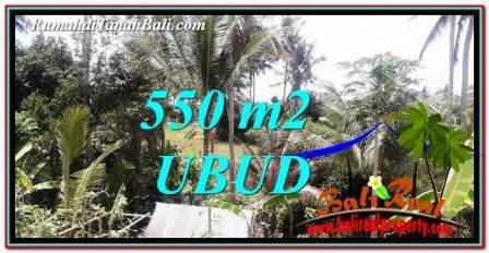 Exotic PROPERTY 550 m2 LAND FOR SALE IN Ubud Pejeng BALI TJUB751
