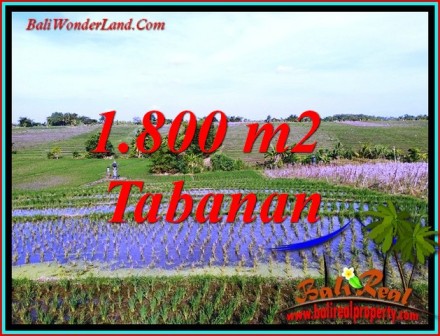 Beautiful PROPERTY LAND IN KERAMBITAN TABANAN BALI FOR SALE TJTB491