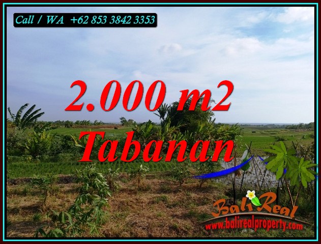 Exotic PROPERTY KERAMBITAN TABANAN LAND FOR SALE TJTB492
