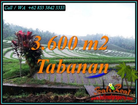 LAND IN TABANAN BALI FOR SALE TJTB461