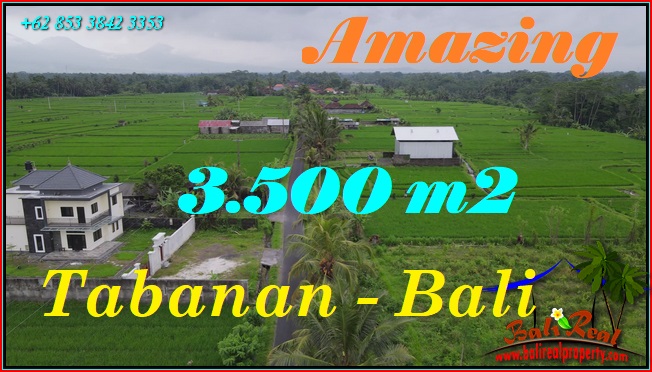 Affordable 3,500 m2 LAND IN Marga Tabanan BALI FOR SALE TJTB577