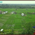 Exotic Marga Tabanan BALI 3,500 m2 LAND FOR SALE TJTB577