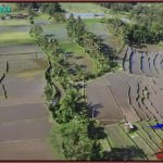 Exotic PROPERTY 4,000 m2 LAND IN TABANAN FOR SALE TJTB579