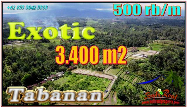 FOR SALE Magnificent PROPERTY 3,400 m2 LAND IN Penebel Tabanan  BALI TJTB557