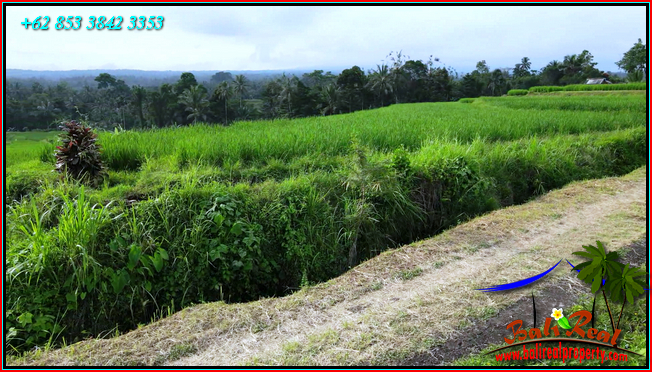 Magnificent PROPERTY 6,100 m2 LAND SALE IN TABANAN TJTB564