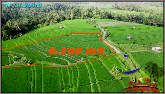 Magnificent PROPERTY 6,100 m2 LAND SALE IN TABANAN TJTB564