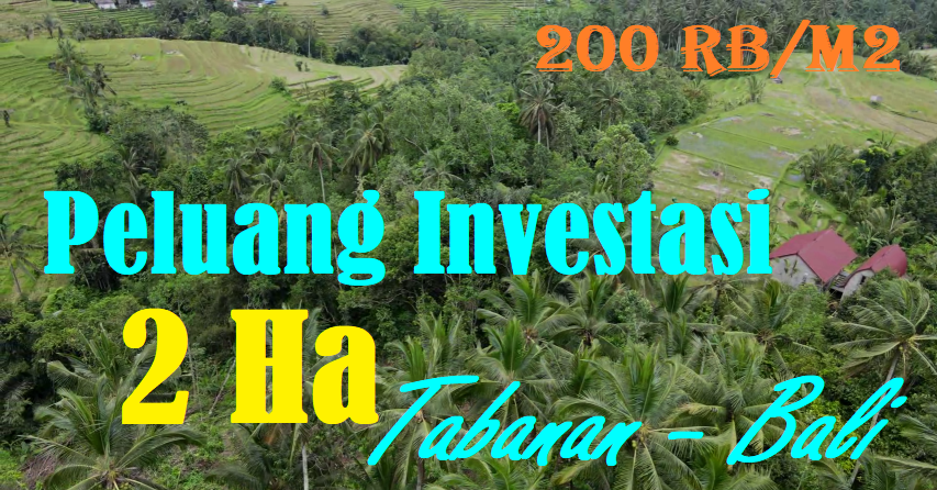 Affordable PROPERTY LAND FOR SALE IN Penebel Tabanan TJTB566